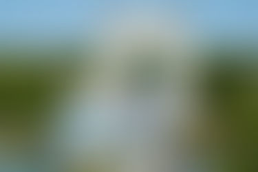 A RUSSIAN RIVER CRUISE? ABSOLUTELY!