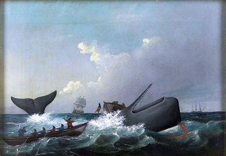 Whale Painting.jpg