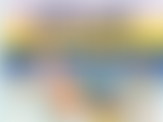 THE SUMMER BOOK REVIEW