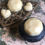 Thumbnail: Face Blossom Gem Solid Lotion Face Moisturizer in a Reusable Tin I Waterless