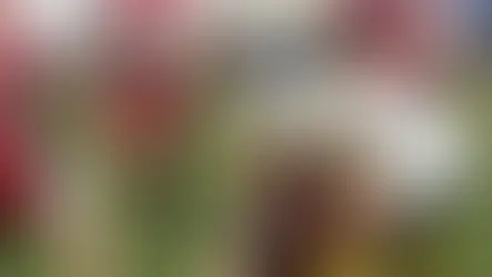 Cyprus 7s at the Rugby Europe Men's Sevens Conference 1 2022