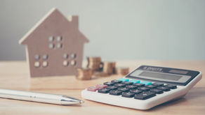 Professional Landlord Planning