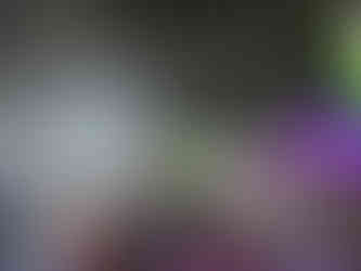 FAI Comply at the Forex EXPO Dubai 2024