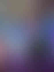 FAI Comply at the Forex EXPO Dubai 2024