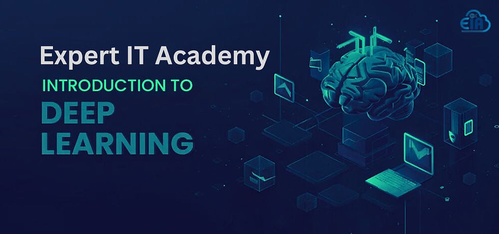Data Scientist Deep Learning Course