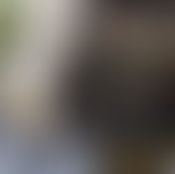 Как выбрать, в каком районе Тель-Авива жить