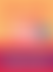 the 4-hour workweek best seller book