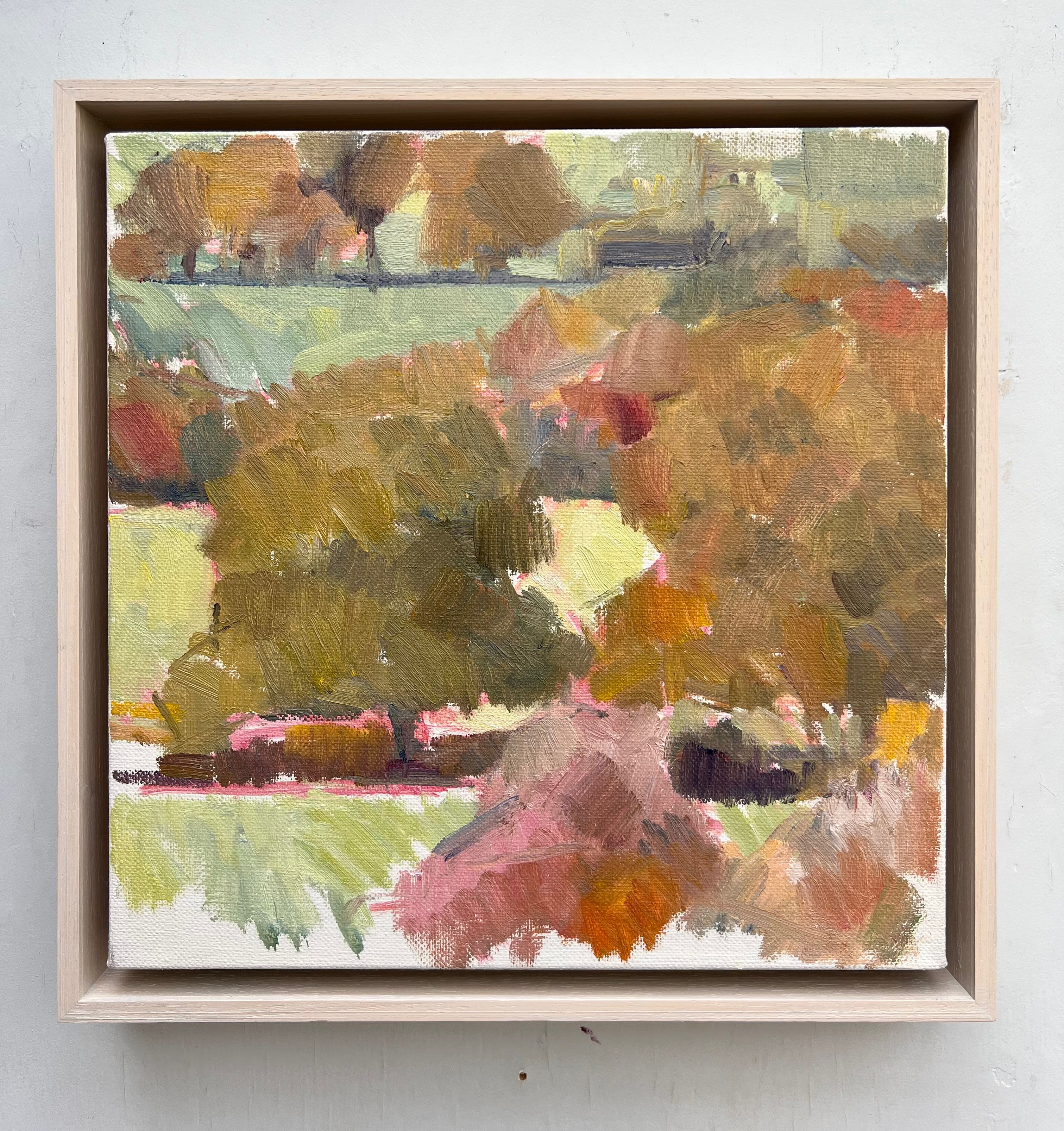 Rich Colours of Autumn