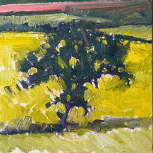 oak tree