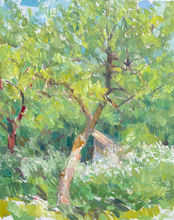 orchard painting