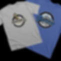 mohiclothingpopup.png