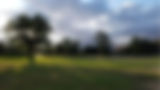touchet valley .jpg
