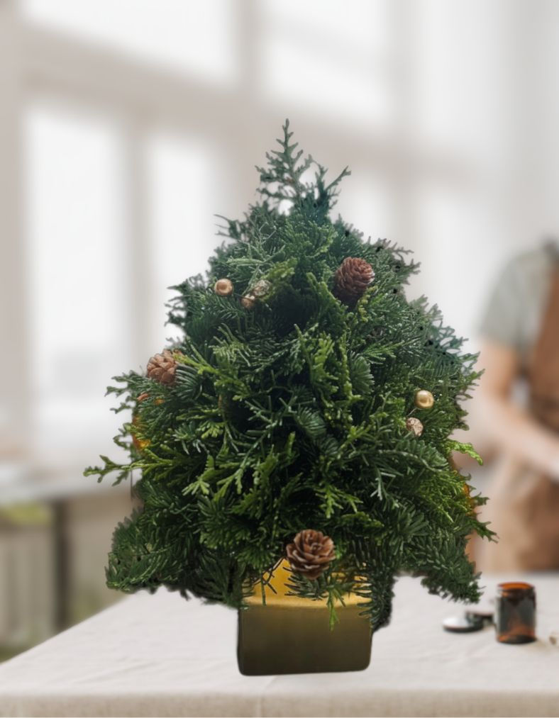 Holiday Mini Tree – Jo Malone London Pick-Up (Pre-Order)