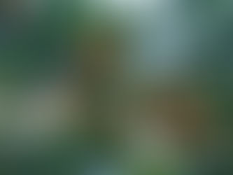 O Limão Capeta: Uma Jóia de Sabor Cultivada em Minas Gerais