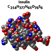 Insuline représentation formule développée