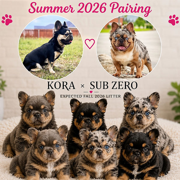 Summer2026Pairing_edited_edited.jpg