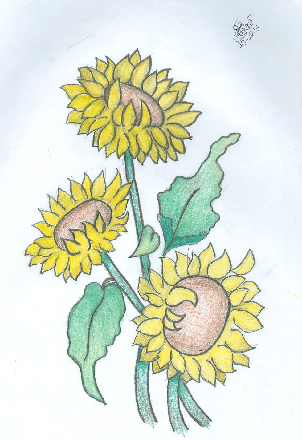 Girasol