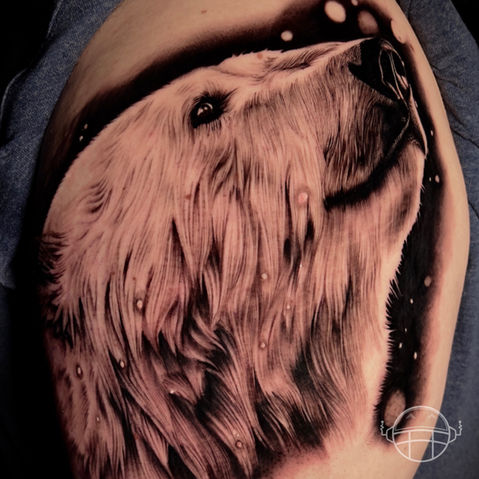 Realistic Bear Tattoo Brandom Jacksonville Tattoo Artist