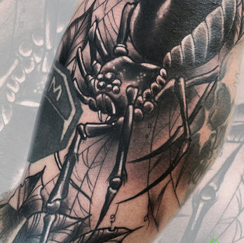 Blackwork Spider Tattoo