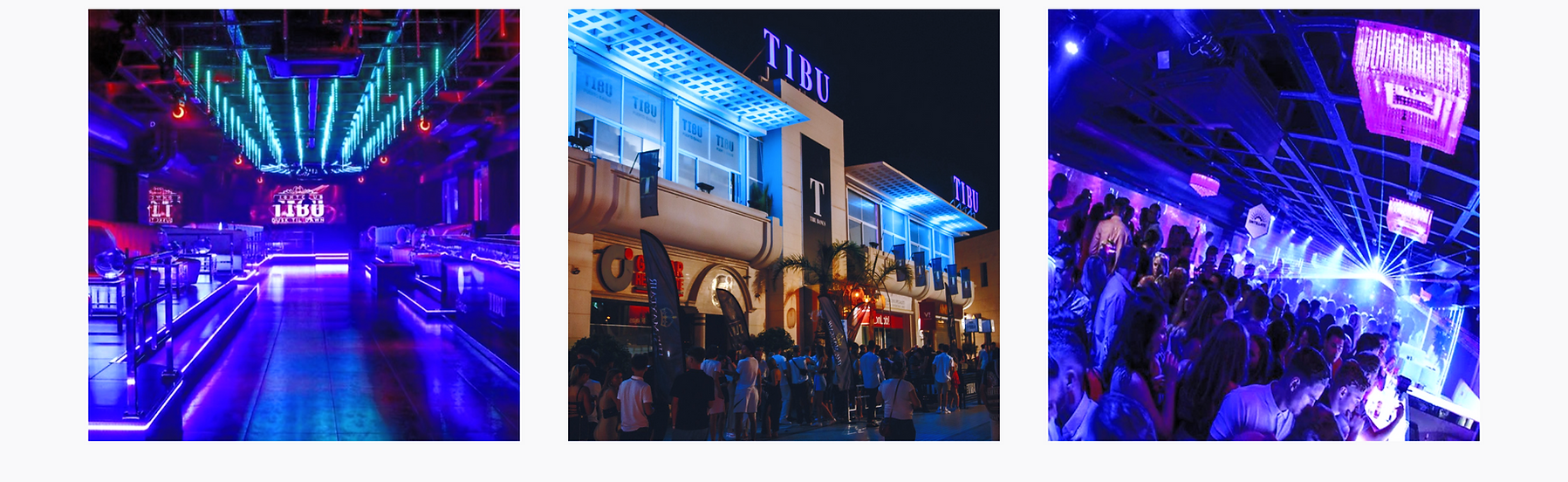 Amor (43)_edited.png