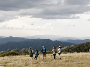 Bushwalking for Beginners: How to Choose Your First Walk