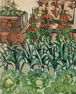 Sally Winter
