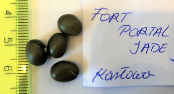 FortPortalJade.JPG