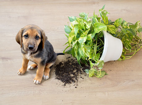 istockphoto-1200157859-170667a.jpg