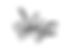 grass-#3.png