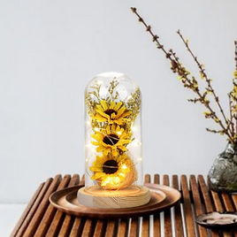 Sunflowers in Glass Dome with LED String Lights