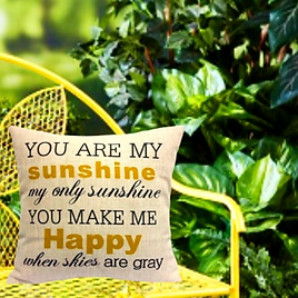 you-are-my-sunshine-throw-pillow-cover.png