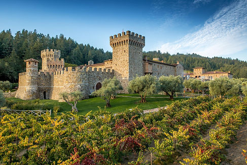 Napa Castle.jpeg