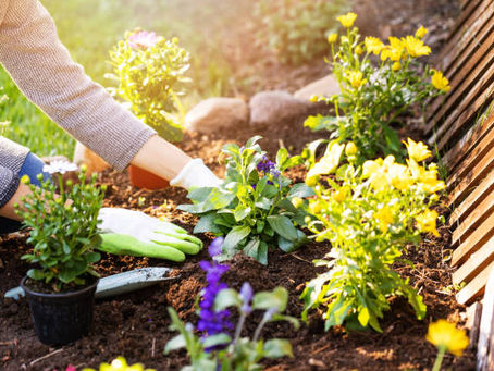 Make outside your safe space! 5 reasons everyone should be gardening!