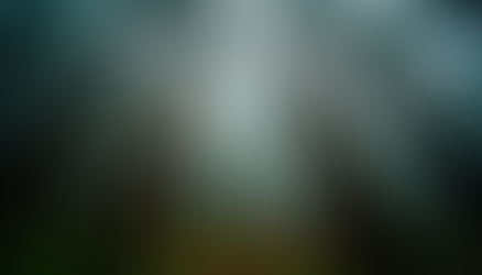 10 Irresistible Reasons to Fall in Love with the Tongass Rainforest