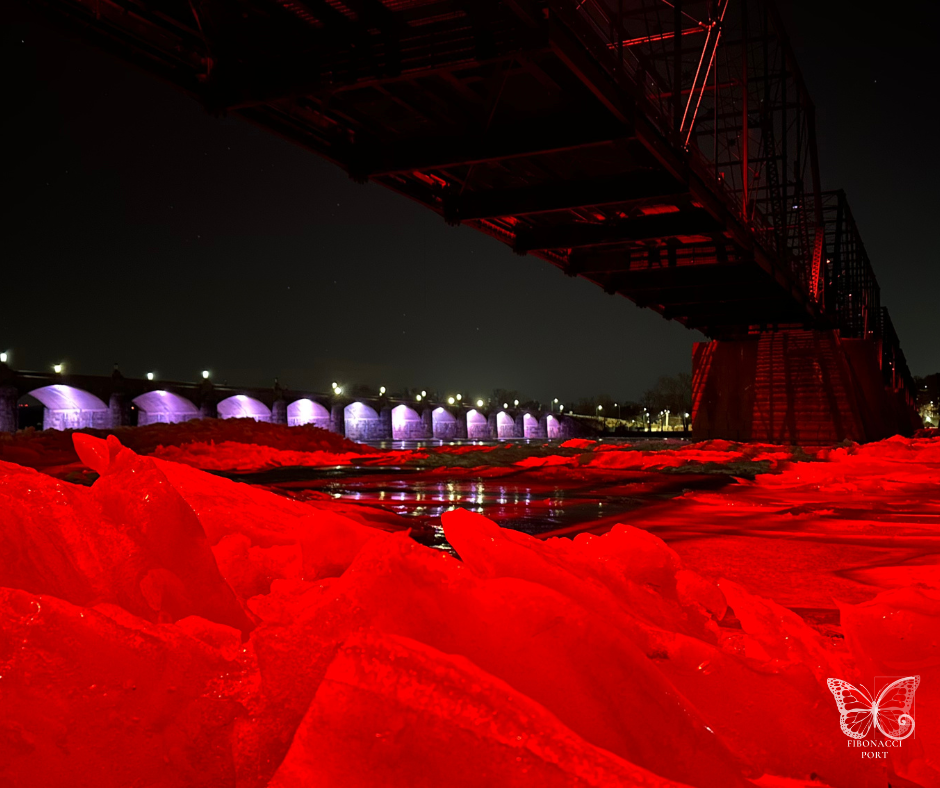 Watermarked Images 2 (69).png