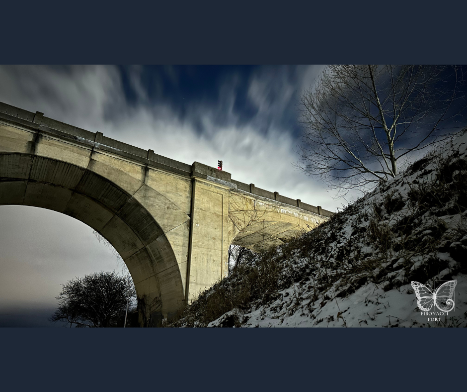 Watermarked Images 2 (49).png