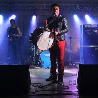 alan pear anemone palco