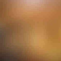 o bardo e o banjo segunda formação