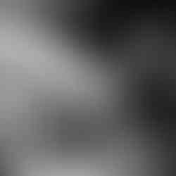 pampa elétrico thiago porto