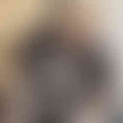 sonja caravana cigana do blues