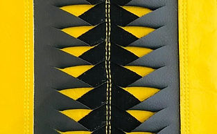 Leather Panel Fishscale
