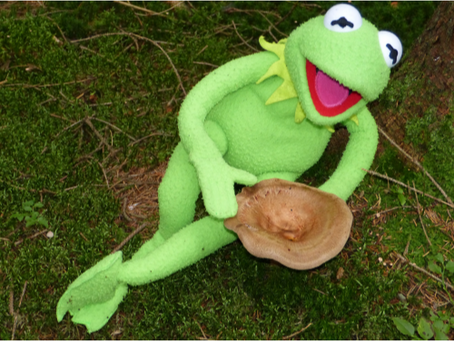 "It's Not That Easy Bein' Green"