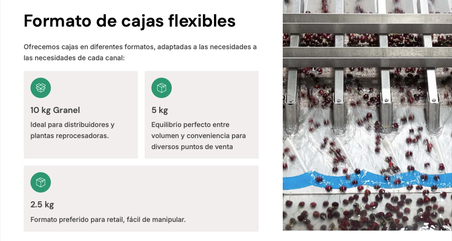 Captura de pantalla 2025-11-11 a la(s) 9.30.28 p.m..png