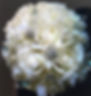 Bling Bouquet2