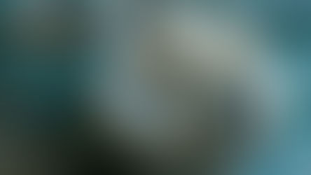 زبدة جوز الهند