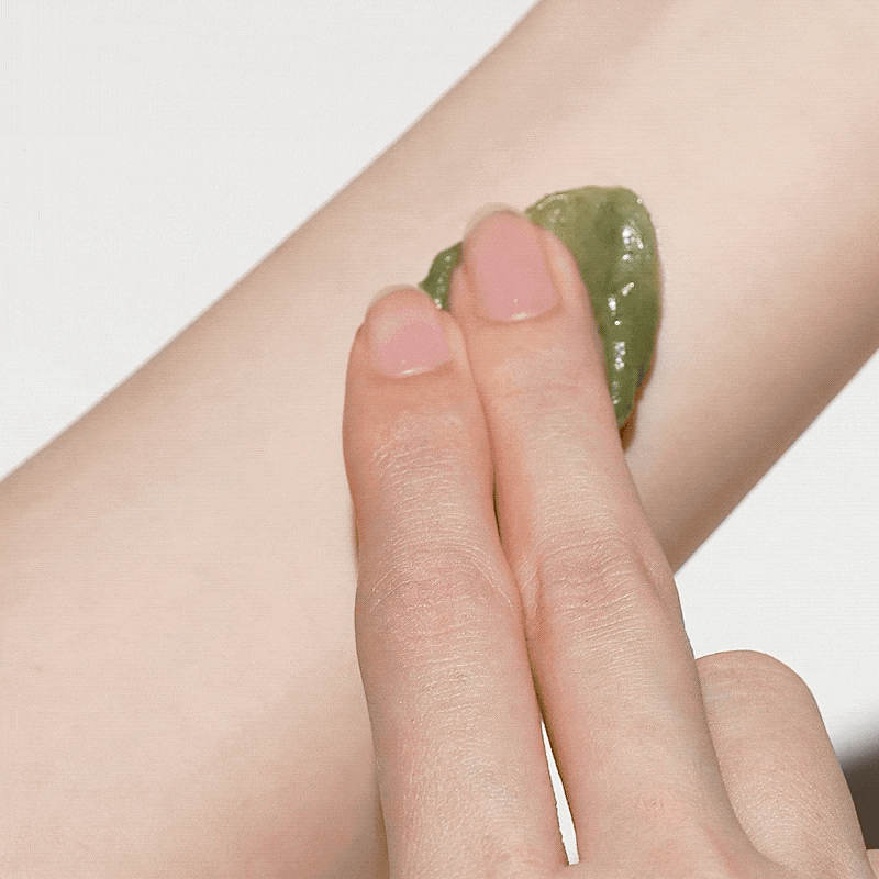 mugwort07.gif