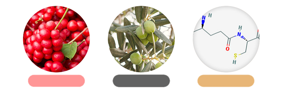 cushion03.png