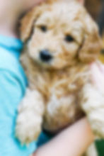 93138725_10106238662252961_3218464383554289664_n