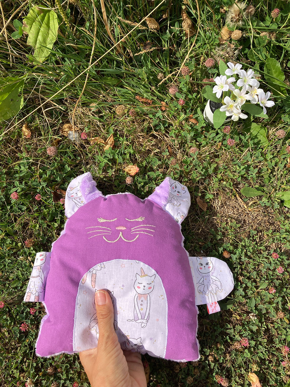 Miniature : Doudou CHAT MIGNON - VIOLINE