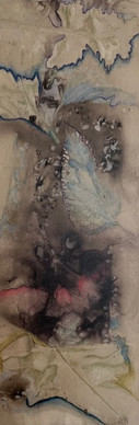 thumbnail_img_1620.jpeg